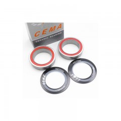 CEMA 6900LB Ceramic Bearing