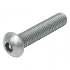 QUALFAST QFT6371435N M5X30 A2 St/St Tamper Torx Buttonm/C Screw (100Pcs)