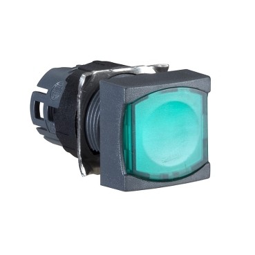 SCHNEIDER ZB6CW3 Square Illuminated Pushbut To N Head Dia
