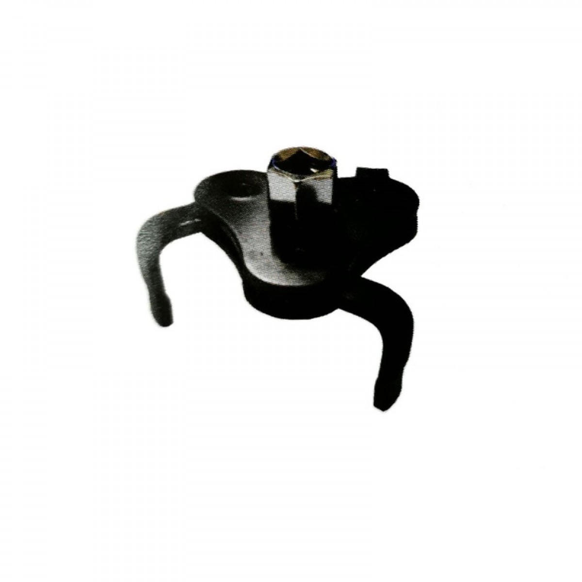 cat_image